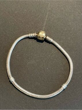 Pandora 14k Gold & Silver Bracelet (14K Gold Logo Clasp)